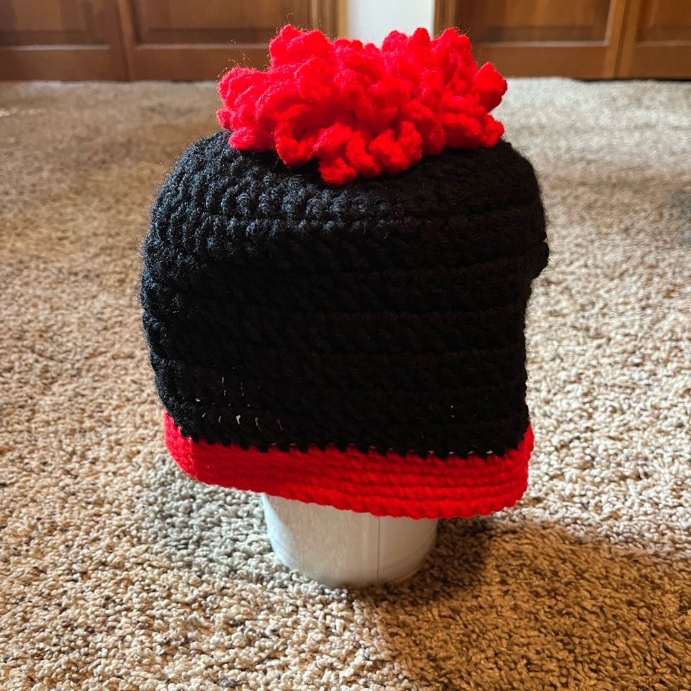 4/$25 Beanie with home for ponytail